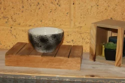 20230901 - Bol projections encre noires